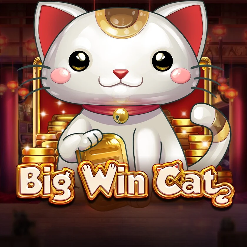 Big Win Cat